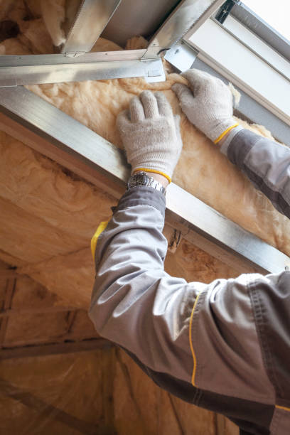 Best Insulation for Specific Applications in Western Springs, IL
