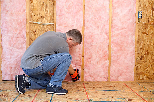 Best Insulation for Specific Applications in Western Springs, IL